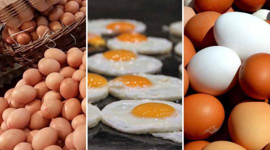 Tojásmizéria: Most akkor melyik tojásra vonatkozik az árstop?
