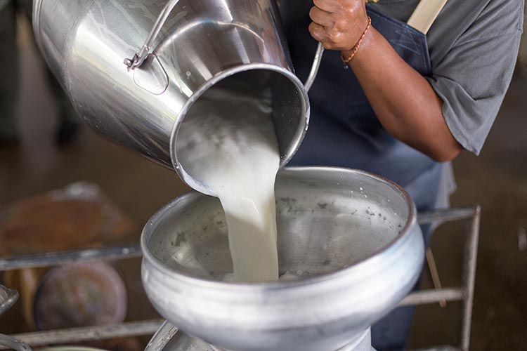 Már a tizedik egymást követő hónapban csökkent a tejporok, valamint a sajt nemzetközi ára