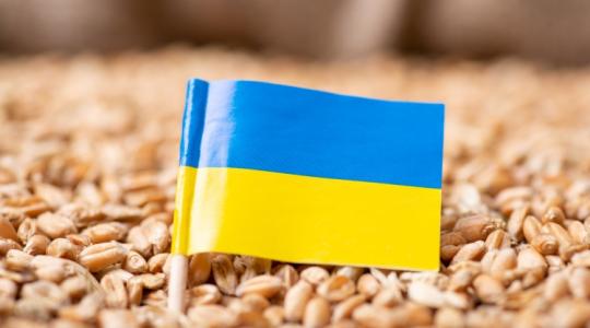 Ukrajna elfogadhatatlannak tartja az ukrán gabona importjának tilalmát