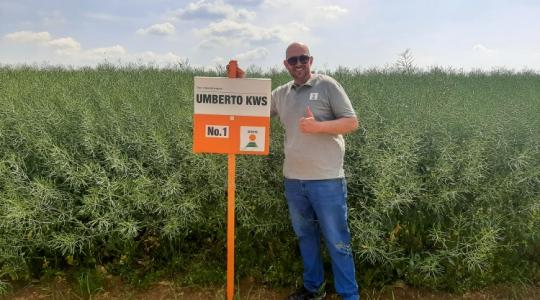 Elképesztő becőtenger: közel kétméteres a repce Kadarkúton