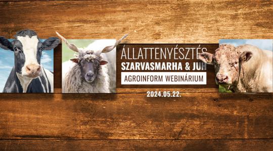 Állattenyésztés – szarvasmarha és juh Agroinform Webinárium: így csatlakozhatsz!