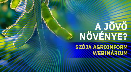 A jövő növénye? Szója Agroinform webinárium – így csatlakozhatsz!