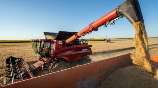 Így alakultak a magyar mezőgazdaság számai 2022-ben