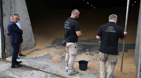 A magyar hatóság szigorúan ellenőrzi az ukrán gabonát
