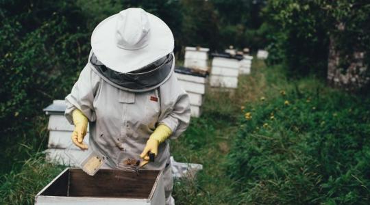 Tele a raktárak mézzel, nagy bajban a termelők