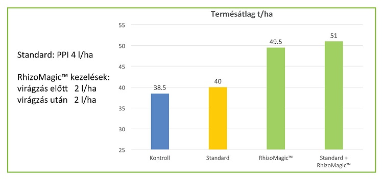 RhizoMagic™ hatása chips burgonya termésátlagára (Dunaegyháza, 2019)