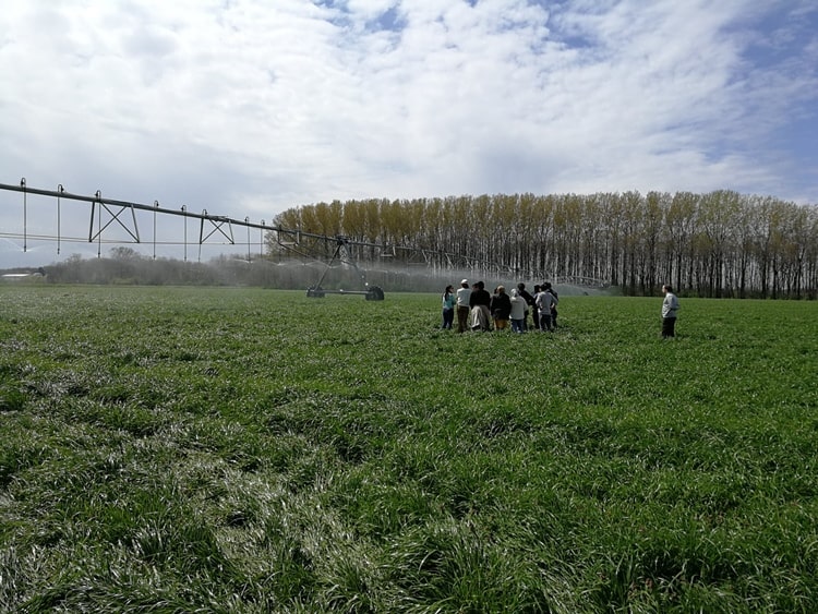 mezőgazdasági vízgazdálkodási mérnöki mesterszak képzés