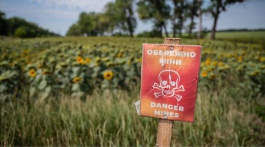Nagyszabású aknamentesítési program kezdődik az ukrán földeken
