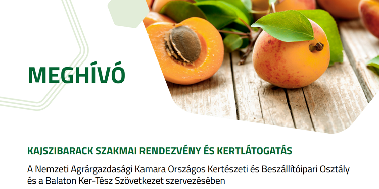 meghívó