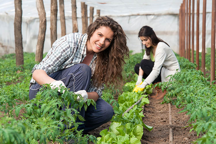 A TalentA képzési és támogatási program egyik célja az agráriumban dolgozó nők fejlődésének támogatása