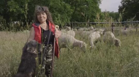 Milyen egy női pásztorközösség? Most megtudhatod!