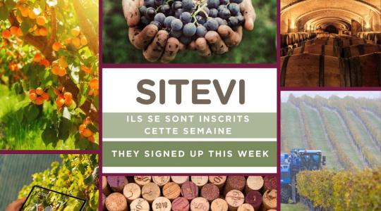 SITEVI – borászati, szőlészeti és gyümölcstermelői szakkiállítás