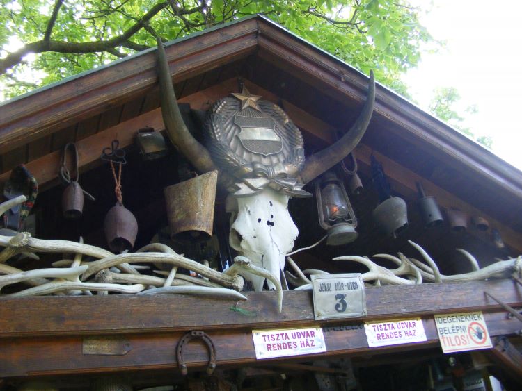gyűjtemény