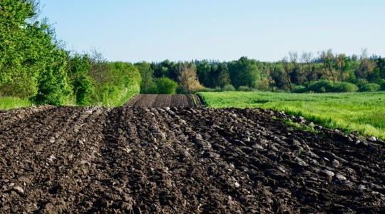 Az EU talajainak 70 százaléka nincs megfelelő állapotban 