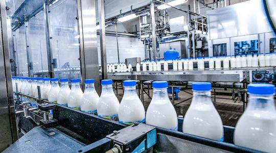 Elindult a dominó: tovább csökkent a nyers tej termelői ára
