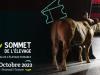 Sommet de l'Elevage – Nemzetközi állattenyésztési kiállítás 2023