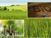 A biogazdálkodás fortélyai, újabb korlátozás a Mol-kutakon, ezért fontos az őszi lemosó permetezés