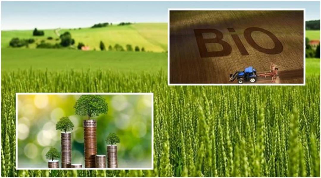 A biogazdálkodás fortélyai, újabb korlátozás a Mol-kutakon, ezért fontos az őszi lemosó permetezés