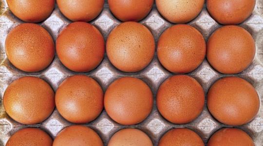Elképesztő: egyetlen hónap alatt 100 millió ukrán étkezési tojást importált az Unió