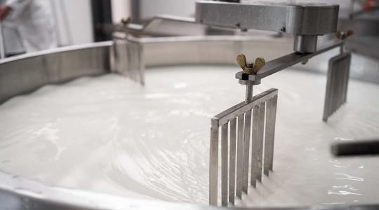 Egyre brutálisabb az árzuhanás a tejpiacon