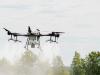 A Növényorvosi Kamara figyelmezteti a gazdákat: a drónos deszikkálás továbbra is tilos!