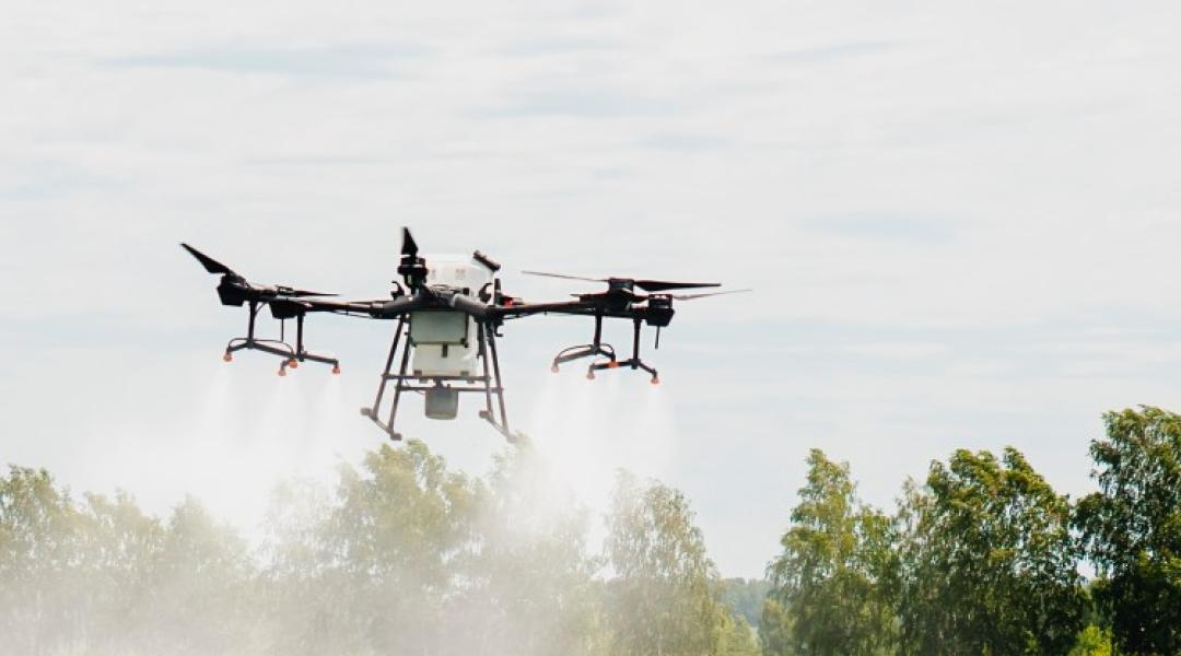A Növényorvosi Kamara figyelmezteti a gazdákat: a drónos deszikkálás továbbra is tilos!