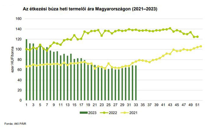 Étkezési búza termelői ára Magyarországon