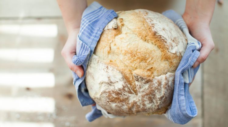 Az élelmiszeriparban több mint 3900 vállalkozás 33 szakágazatban folytat termelést. Ezek között kiemelt helyen szerepel a kenyér, mert ez az egyik legalapvetőbb élelmiszer.