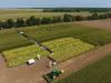 crop-EX: új távlatokat nyit a gazdálkodásban a Syngenta tudásbázisa