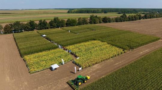 crop-EX: új távlatokat nyit a gazdálkodásban a Syngenta tudásbázisa