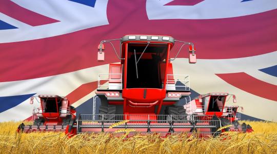 Elengedhetetlen egy angol nyelvű weboldal az exportra termelő mezőgazdasági cégek számára