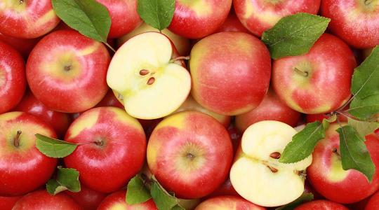 Remek hír érkezett a Szabolcsi almáról!