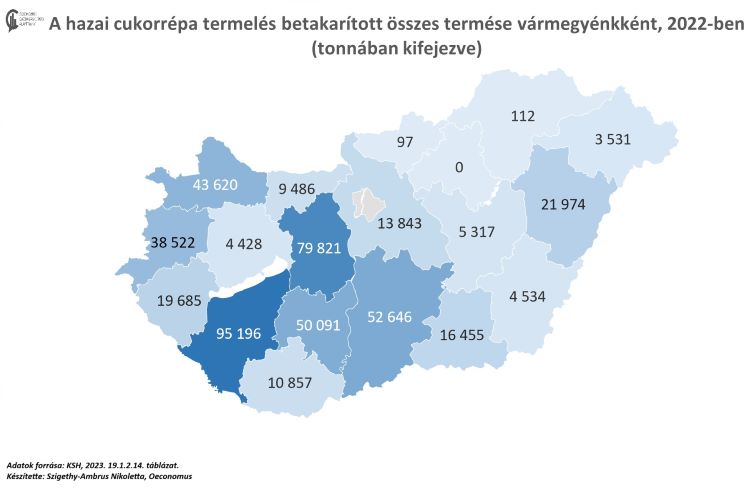 cukorrépa