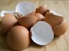 Ki ne dobd a tojás héját! A kertben és a háztartásban is nagyon hasznos!