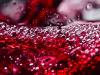 Kétmillió liter vörösbor zúdult végig egy portugál városon – videó