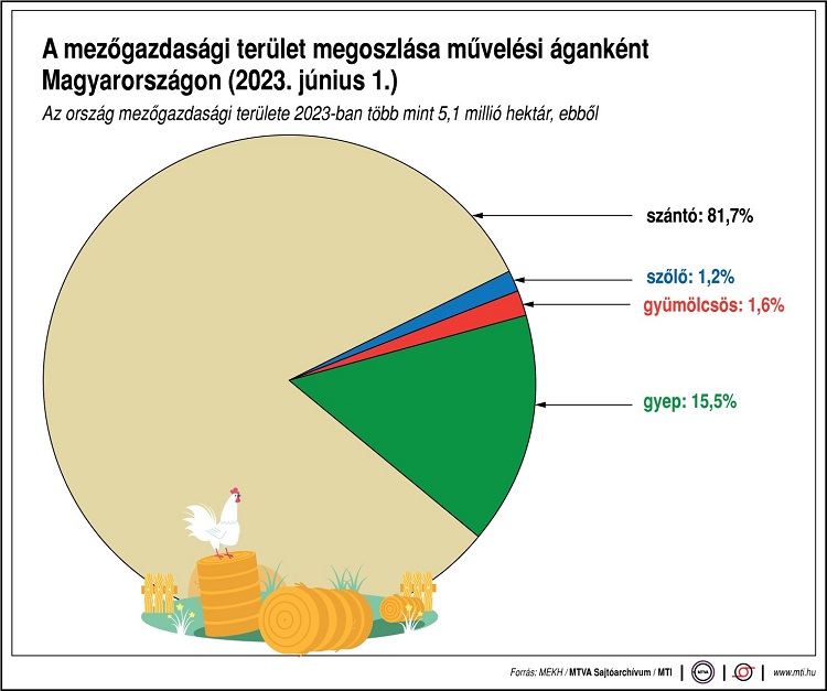 mezőgazdaság