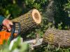Erdészeti gépbemutató – Biatorbágy