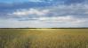 Földet szeretnél Ukrajnában? 500 hektáros parcellákat vásárolhatsz!