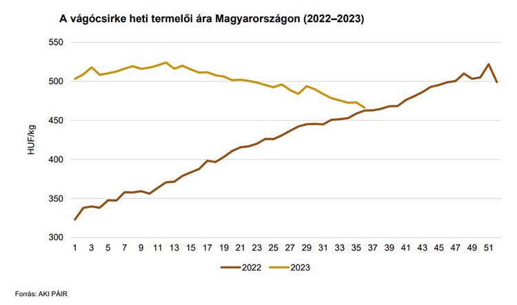 A vágócsirke heti termelői ára Magyarországon