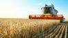 Mindkét fél engedett: Szlovákia és Ukrajna megállapodott gabonaügyben