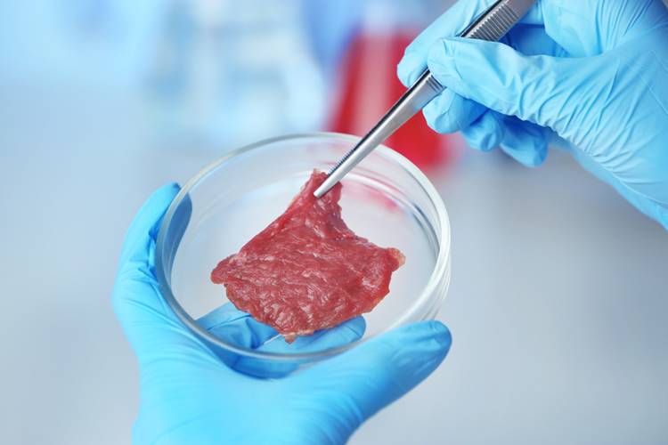 laboratóriumi hús