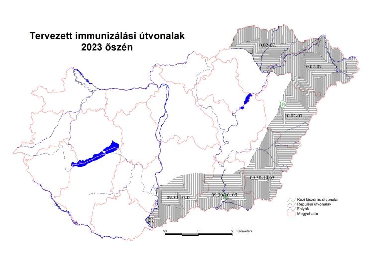 immunizálási útvonal