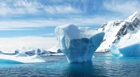 Olyan mértékű a globális felmelegedés, hogy az Antarktiszon elképesztő iramban kezdtek terjedni a növények
