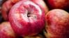 Emelkedett az alma felvásárlási ára, és a termés is jónak ígérkezik