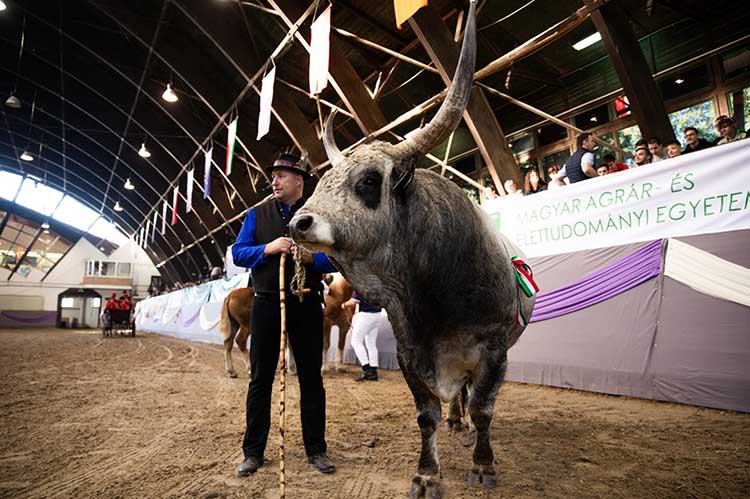 Idén is sikeres volt a KÁN Egyetemi Napok