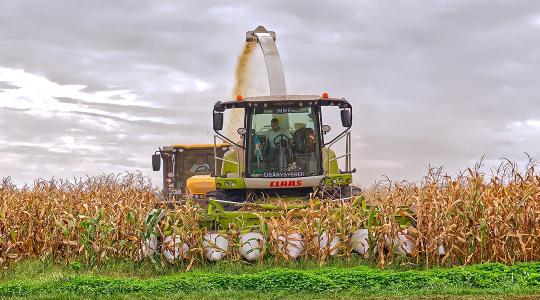 Helyenként 8,7 tonna/hektár a kukorica termésátlaga Magyarországon