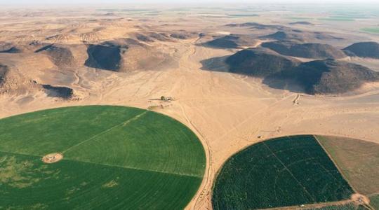 A sivatag közepén hozták létre Jordánia legnagyobb farmját, egy elképesztő biogazdaságot