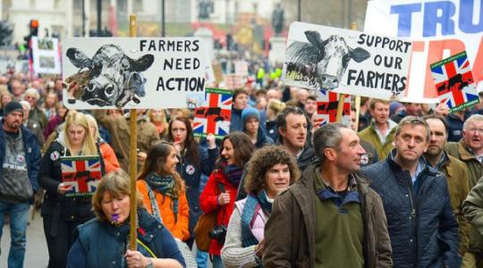 Nagy-Britanniában besokalltak a gazdák, tüntetnek a multik ellen
