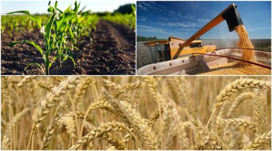 Fontos információk az EU-s forrásokról, az ukrán gabonáról és a regeneratív mezőgazdaságról