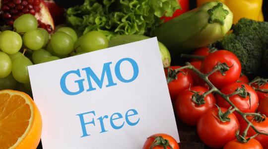 GMO: hogy dönt Európa?